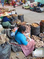 Las mujeres venden tipos diferentes de patatas en mercados en Cajabamba. Perú, Sudamerica.