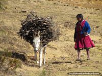Larger version of Indigenous woman and donkey with firewood at Marcahuamachuco.