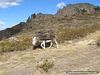 Versão maior do O burro e as enormes paredes em Marcahuamachuco arruinam em Huamachuco.
