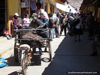 Carreta vegetal em mercados de Huamachuco. Peru, América do Sul.