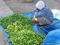Mountains of fresh green limes on sale at Andahuaylas markets. Peru, South America.