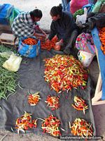 Colorful chillies in small piles at the Andahuaylas markets. Peru, South America.