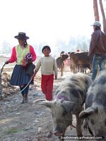 A pair of pigs come to market by a woman and girl in Andahuaylas. Peru, South America.