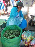 Coca leaves for sale at the markets in Andahuaylas. Peru, South America.