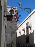 Larger version of Flowerpots, red flowers, streetlamps and narrow walkways, San Lazaro in Arequipa.