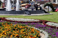 Flores, uma fonte e um delfim feito de grama e fábricas em Tacna. Peru, América do Sul.
