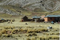 Farmhouse, hay and animals on land below rocky hills, west of Desaguadero. Peru, South America.