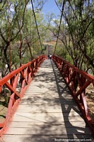 Puente de madera a través del río hacia el sitio arqueológico de Kotosh 4 kms de Huánuco. Perú, Sudamerica.
