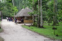 Versão maior do Caminho na selva verde em parque nacional Tingo Maria.