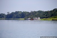 Lake Yarinacocha in Pucallpa, 15mins from the city, see birds and wildlife. Peru, South America.