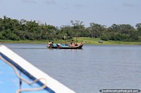 Enjoying being on the lake in Pucallpa, looking for birds and wildlife! Peru, South America.