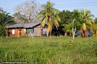 Versão maior do Casa de madeira com telhado de zinco cercado por árvores e cocos, da estrada Pucallpa a Tingo Maria.