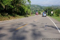 Larger version of On the road from Pucallpa to Tingo Maria, around San Alejandro.