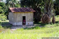 A woman sweeps out her small house in the Amazon around Aguaytia, between Pucallpa and Tingo Maria. Peru, South America.