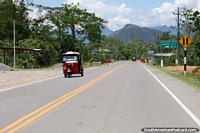 15kms before Tingo Maria, coming from Pucallpa, 4-5hrs drive. Peru, South America.