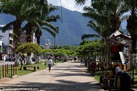 Park in the center of Tingo Maria, palm trees and hills. Peru, South America.