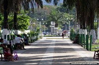 Park, palm trees and lights, a beautiful part of the city in Tingo Maria. Peru, South America.