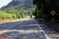 Larger version of The road from Tingo Maria to Tocache is sealed.