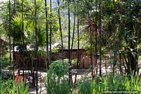 Versão maior do Casa de madeira simples escondida entre árvores junto do caminho entre Tingo e Tocache.