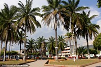 Plaza de Armas in Tocache with many palm trees. Peru, South America.