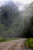 Estrada de cascalho atravs da floresta nublada, poderia haver bandidos por aqui, Tocache a Juanjui. Peru, Amrica do Sul.