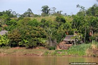 Versión más grande de Abrigo de techo de paja con una hamaca, lugar agradable para relajarse junto al río cerca de Yurimaguas.