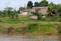 Larger version of Wooden houses with thatched roofs on large properties on the river banks near Yurimaguas.