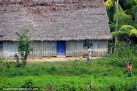 Large house with thatched roof near Yurimaguas, this is the Amazon baby! Peru, South America.