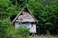 As casas são simples no Amazônia, de madeira com telhados cobertos com palha, ao norte de Yurimaguas. Peru, América do Sul.