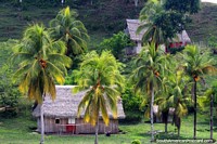 Larger version of Beautiful setting for Amazon living, below palm trees in a wooden house with thatched roof!