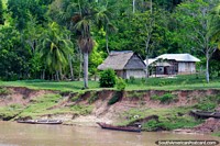 Wow look at that! Nice house in a jungle clearing beside the Huallaga River, north of Yurimaguas. Peru, South America.