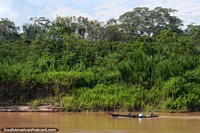 A pair speed along in a river canoe, up river on the Huallaga in the Amazon. Peru, South America.