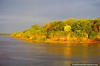 Dia de 17h30 2 e novamente uma hora de ouro de beleza verde nos rios do mato de Amazônia. Peru, América do Sul.