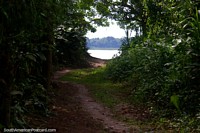A clearing and a view of the Amazon River during a walk near Iquitos. Peru, South America.