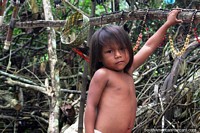 Pequeno rapaz indgena de uma famlia no mato perto de Iquitos. Peru, Amrica do Sul.
