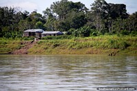 Versão maior do Casas de madeira nos bancos do Rio de Amazônia entre Iquitos e Santa Rosa.