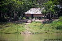 Grande casa de madeira e uma propriedade bonita com sequóias no Amazônia, entre Iquitos e Santa Rosa. Peru, América do Sul.