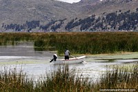 O homem rema em um pequeno barco procurando um lugar de pesca nas águas do Lago Titicaca em Puno. Peru, América do Sul.