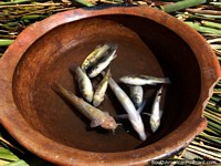Versão maior do Pequeno peixe pegado do buraco de pesca no meio da ilha de cana que flutua das pessoas de Uros, Puno.