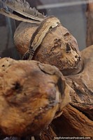 Mummies, the great treasure of Sillustani, servants discovered in 1971, Carlos Dreyer Museum, Puno. Peru, South America.