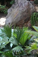 Version m�s grande de Caballo de bronce bebiendo al lado de la piscina, escultura en el castillo de Lamas.