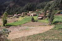 Larger version of Community with productive land in the hills in Caraz, crops growing.