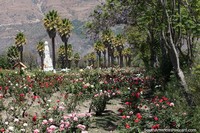 Beautiful and peaceful surroundings at Campo Santo with flower gardens and palms, Yungay. Peru, South America.