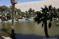 Larger version of Beautiful lagoon at Huacachina with a lot of fun to be had.