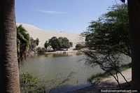 Peru Photo - Looks like nobody else is here at Huacachina, but that is not the case.