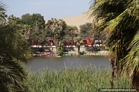 Larger version of A green oasis surrounded by sand dunes at Huacachina lagoon.