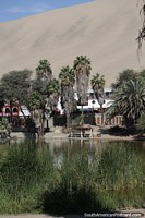 Enjoy the tranquil surroundings out of the city at Huacachina lagoon. Peru, South America.