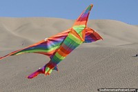 Peru Photo - Kite flying is another great activity to enjoy at the sand dunes in Huacachina.