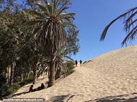 Walk from the lagoon up to the sand dunes in Huacachina. Peru, South America.