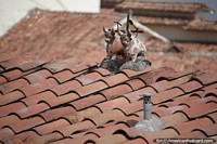 Versão maior do Par de vacas sagradas feitas de cerâmica no telhado de um edifício em Cusco.